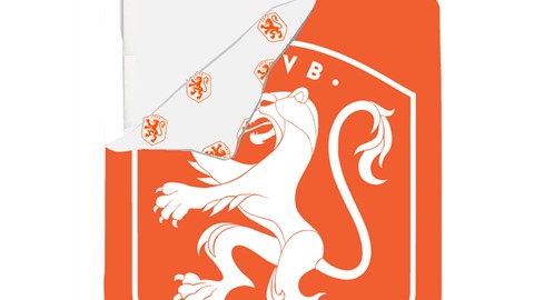 dbo_kessels_leeuwinnen_oranje_topshot_kaal