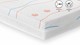 mt_teamnl_detail_2_pictos