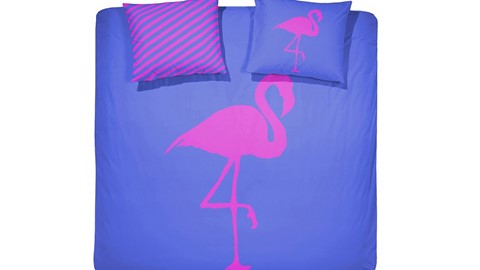 dbo_flamingo_electric_blue_topshot