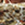 8719931690335_kleur_1