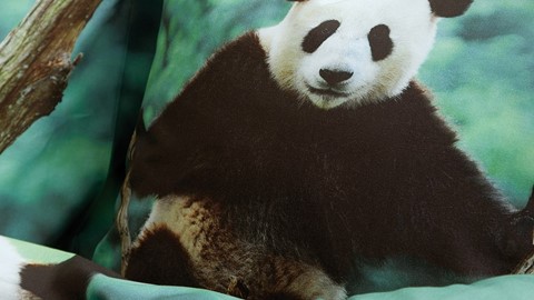 dbo_arli_panda_groen_detail