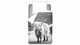 dbo_ambianz_schotsehooglander_1p_rvv_topshot