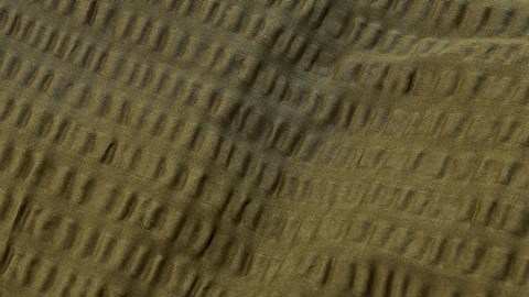 Dekbedovertrek Rise, olive green