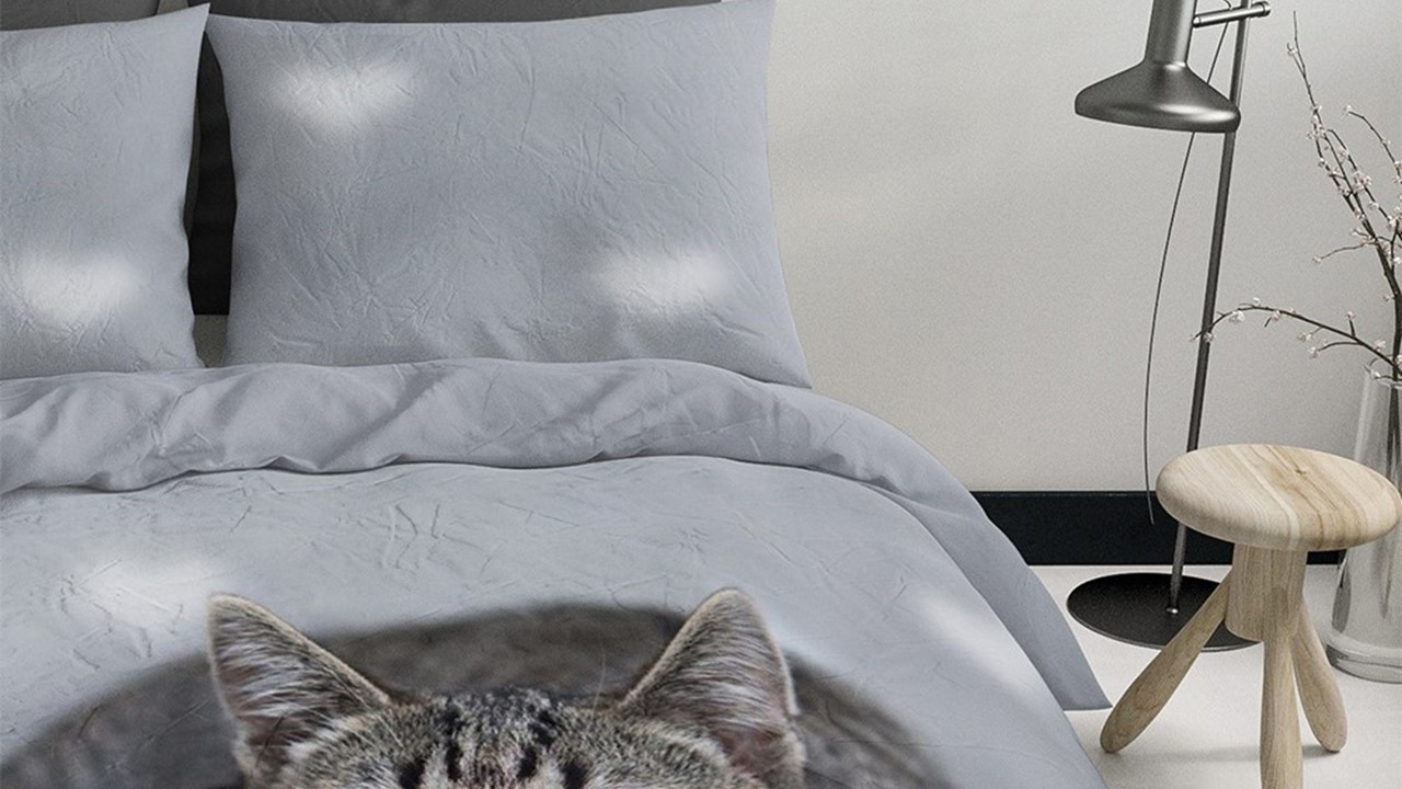 olie Kietelen Paradox dekbedovertrek Peeking Cat | Beter Bed