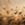 8719931721527_kleur_1