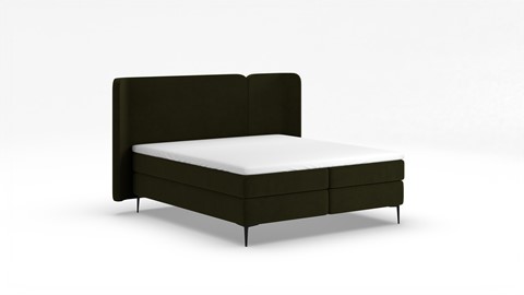 Boxspring Mesa, forest