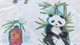 dbo_pandadream_multi_detail