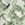 8719931582142_kleur_1