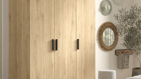 Draaideurkast Sam, eik