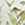 8719931698713_kleur_1