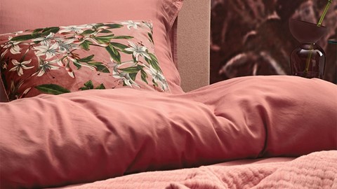dbo_essenza_minte_roze_detail