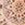 8719931585549_kleur_1