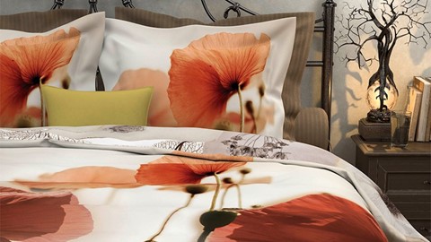 dbo_hnl_limoux_online_fr