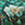 8719931101534_kleur_1