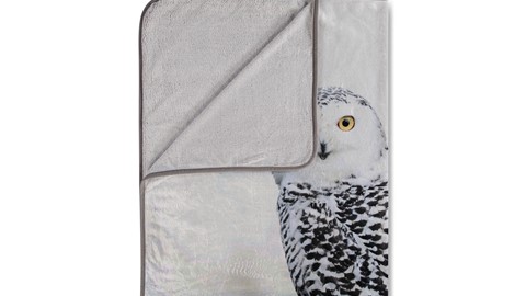 pl_muller_snowy_owl_detail