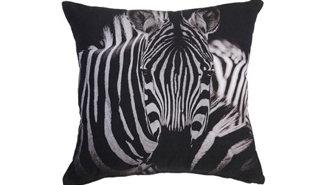 sk-ka-striped-animal-black-white-topshot