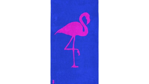 tx_arli_cinderella_flamingo_cobalt_topshot