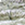 8719931699505_kleur_1
