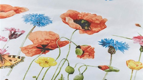 dbo_poppy_parade_multi_detail