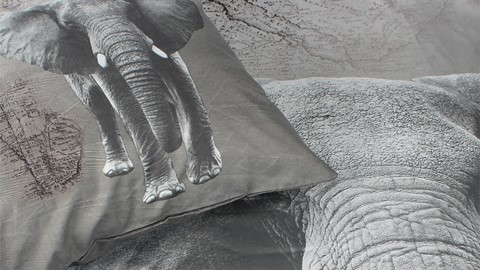 dbo_ambianzz_african_elephant_detail