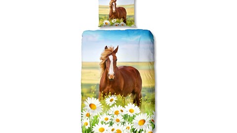 dbo_muller_6063_P_horse_multi_topshot