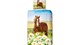 dbo_muller_6063_P_horse_multi_topshot