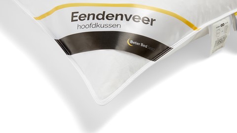 Hoofdkussen van eendenveer