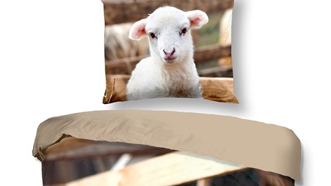 dbo_muller_6171_P_lamb_multi_online