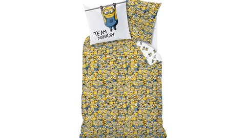 dbo_merchandise_fever_105797_minions_friends_1p_topshot