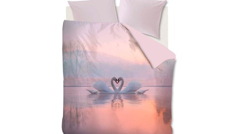 dbo-amb-swan-lake-soft-pink-topshot