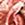 8715944724319_kleur_1