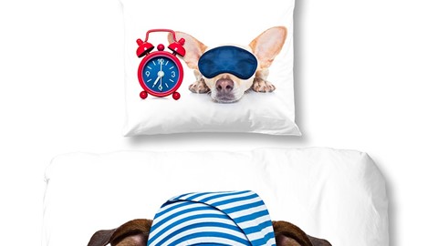 dbo_muller_2049_P_sleepy_dogs_white_online