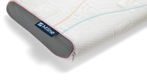Hoofdkussen Pillow You Roze, roze