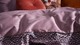 dbo_essenza_bory_lilac_detail1