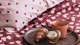 Dekbedovertrek Tulip Mania, rood