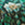 8719931101558_kleur_1