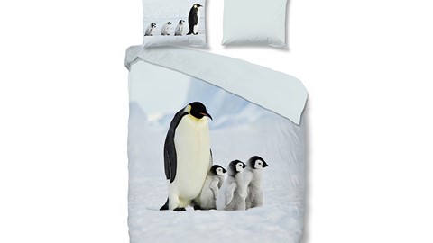 dbo_muller_2051_P_pinguins_multi_topshot