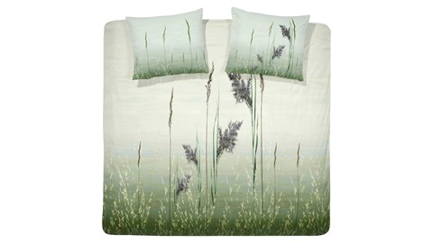 dbo_arli_damai_kudos_natural_2p_kaal