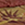 8719931696528_kleur_1