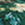 8719931101640_kleur_1