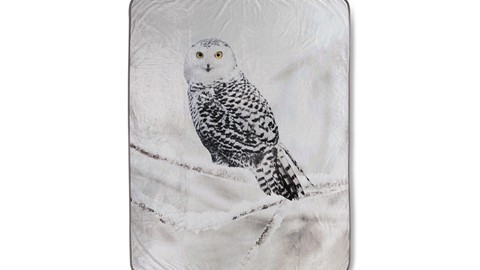 pl_muller_snowy_owl_topshot