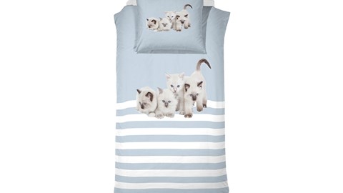 dbo_arli-cinderella_kittens_blue_topshot