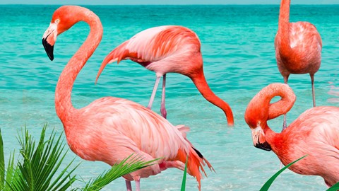 sl_muller_6422_flamingo_multi_detail