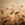 8719931721503_kleur_1