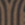 8720574534108_kleur_1
