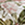 8719002200494_kleur_1