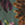 8719931684587_kleur_1