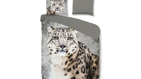 dbo_muller_snow-leopard_topshot