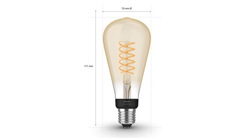 Verlichting Philips Hue Filamentlamp White Edison ST72/E27
