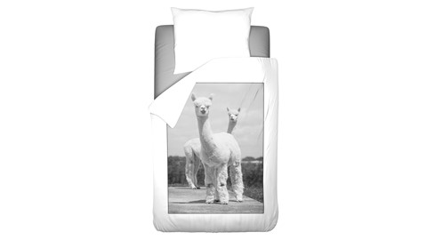 dbo_ambianz_zwartwit_ alpaca_1p_rvv_topshot